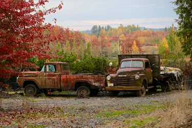 2 Autumn Vintage Trucks